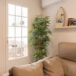 Alohamundi Santa Clara